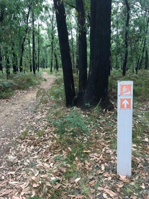 Mount Clay Mountain Bike Trails
