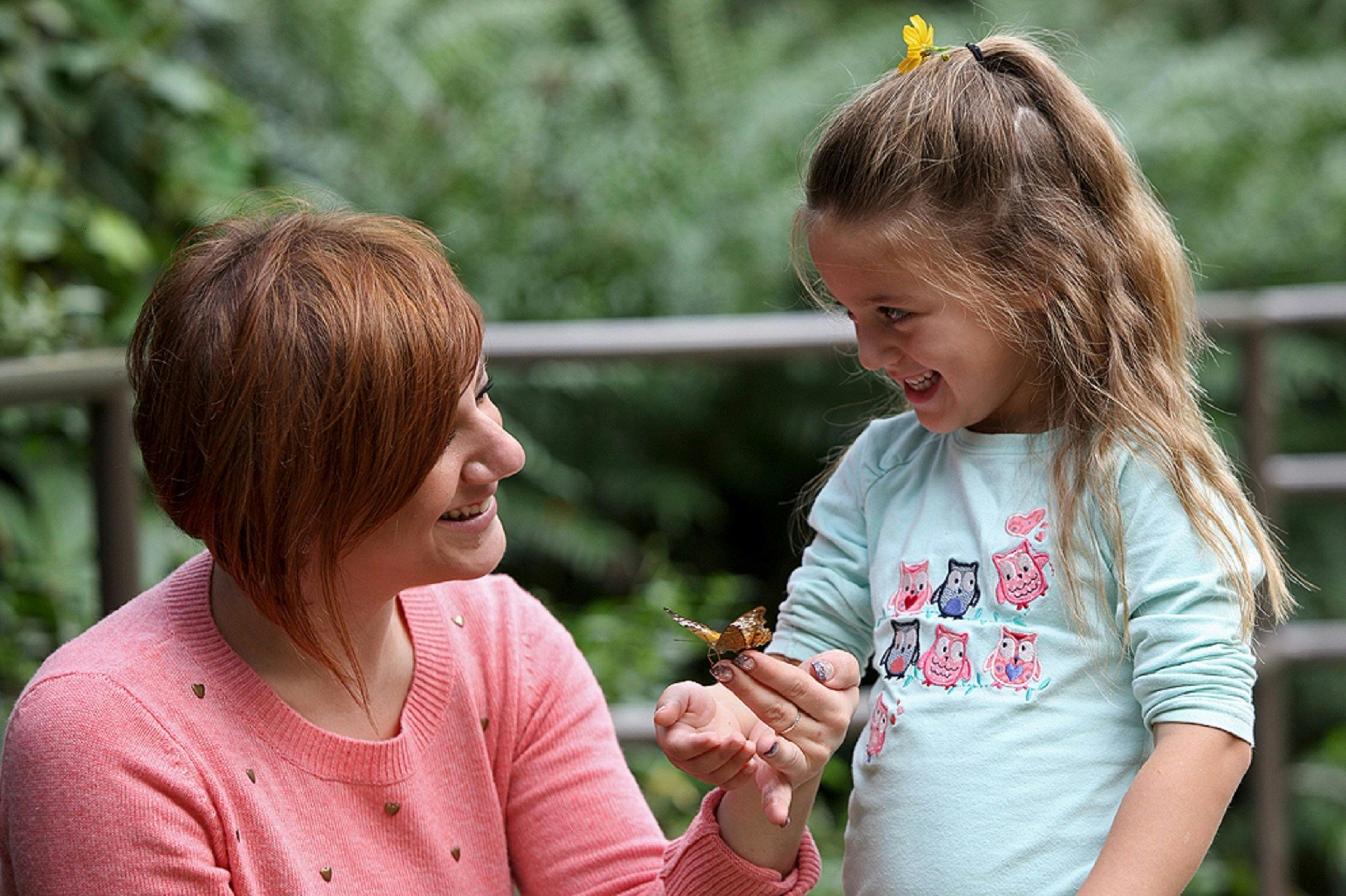 Butterfly House