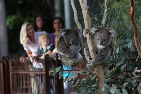 Melbourne Zoo