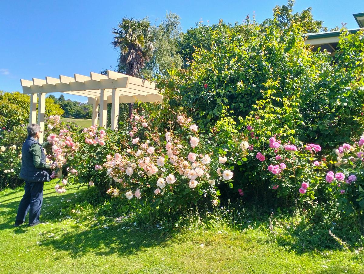 Mont De Lancey and Gardens
