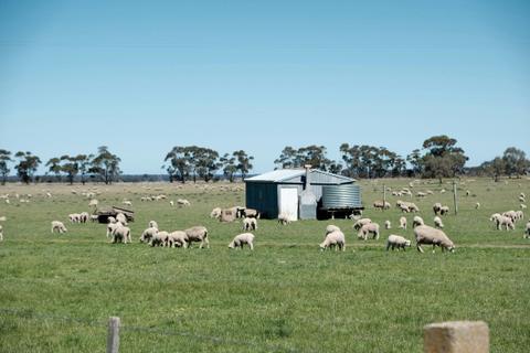 Stockmans Cottage at Mooramong