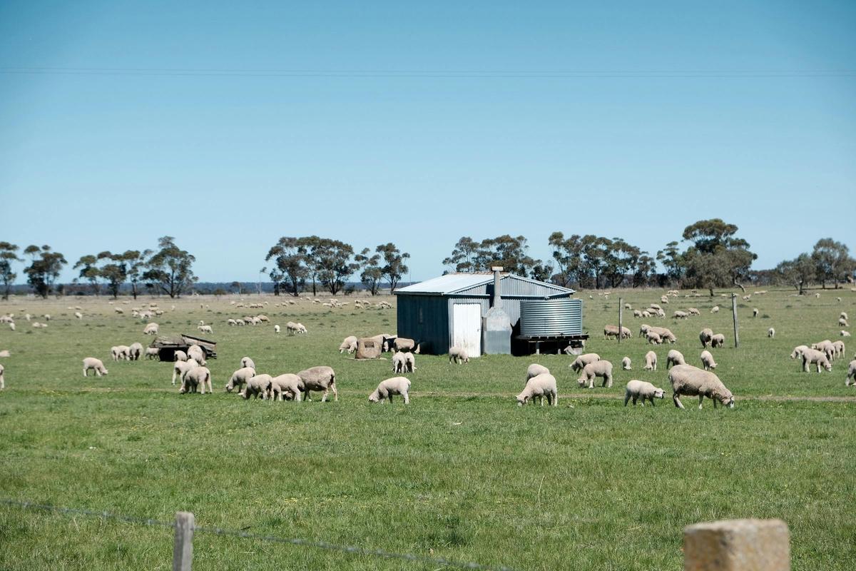 Stockmans Cottage at Mooramong