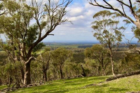 Scenic view from Melville's Lookout