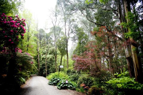 Alfred Nicholas Gardens