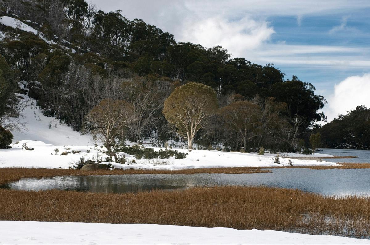 Mount Buffalo National Park