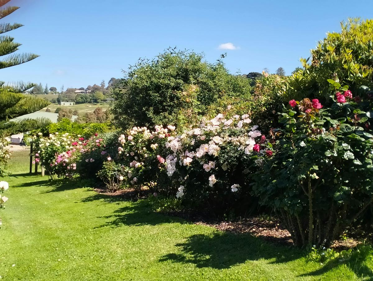 Mont De Lancey Rose Garden