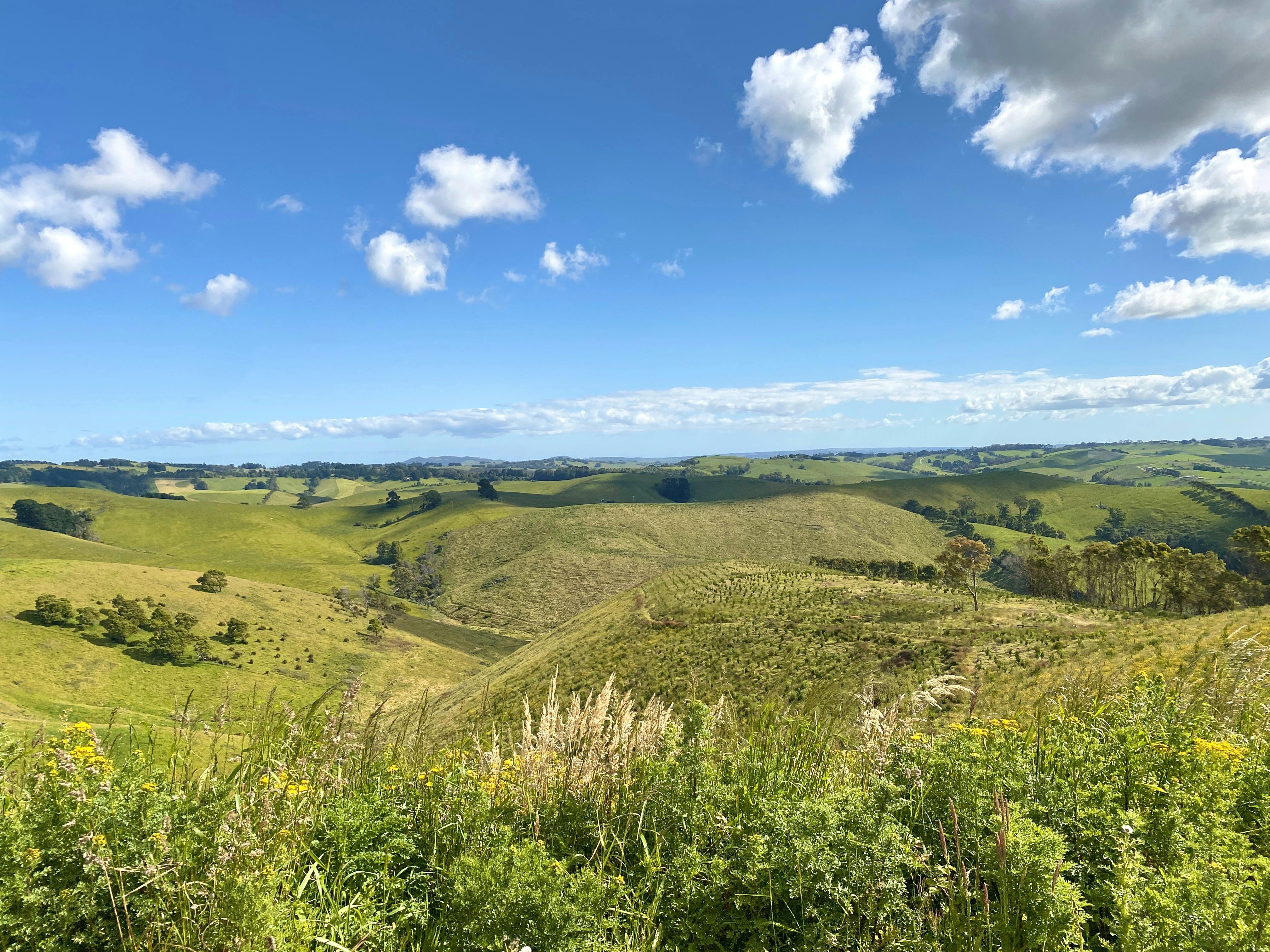 Green rolling hills surrounding Meeniyan