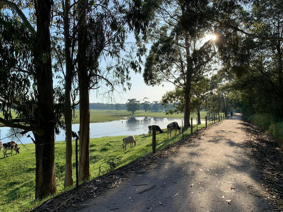 Great Southern Rail Trail