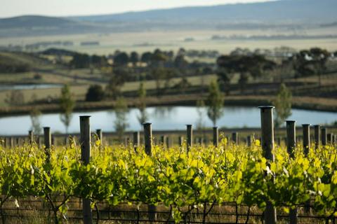 Marnong Estate Winery