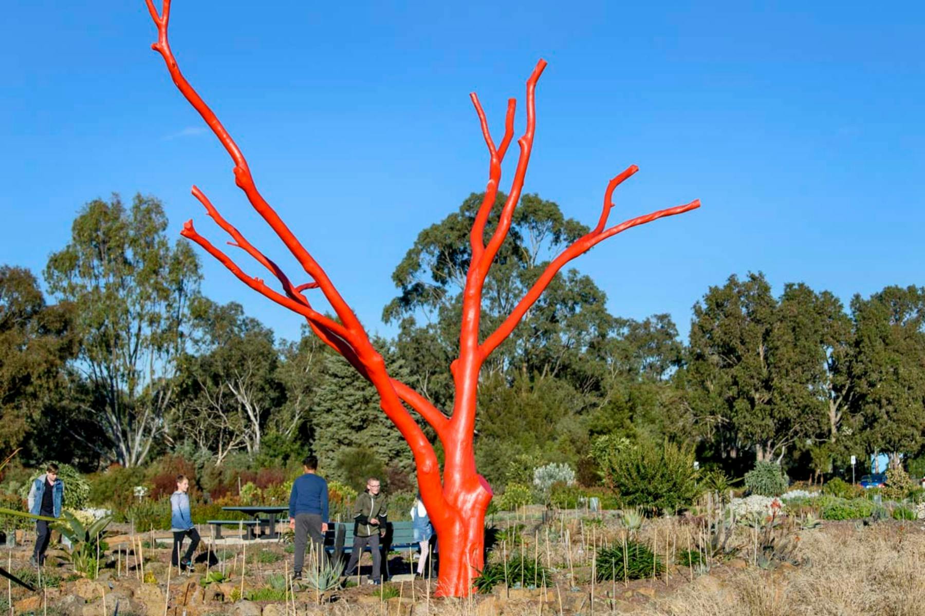 The Red Tree