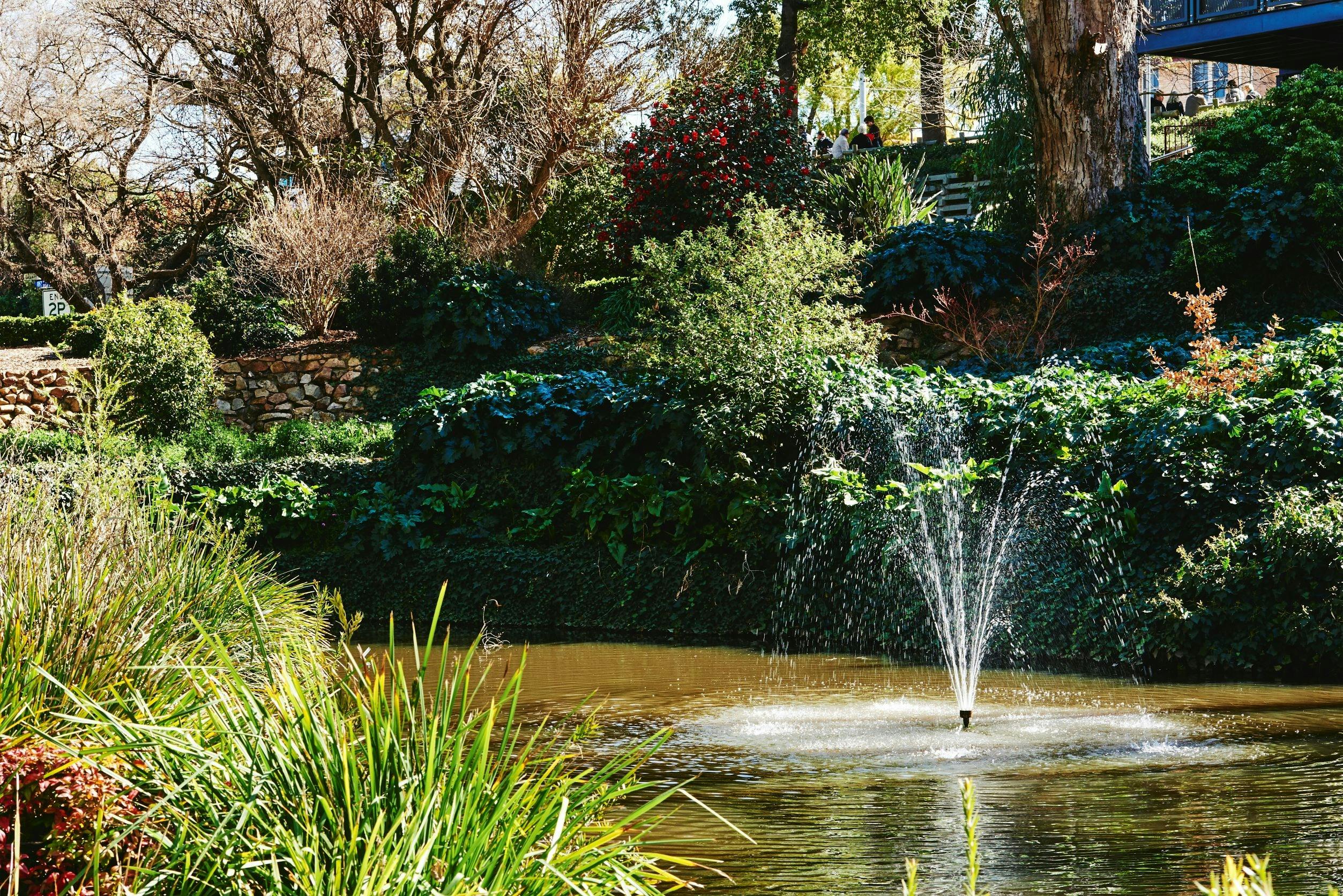 Merriwa Park pond & Fountain