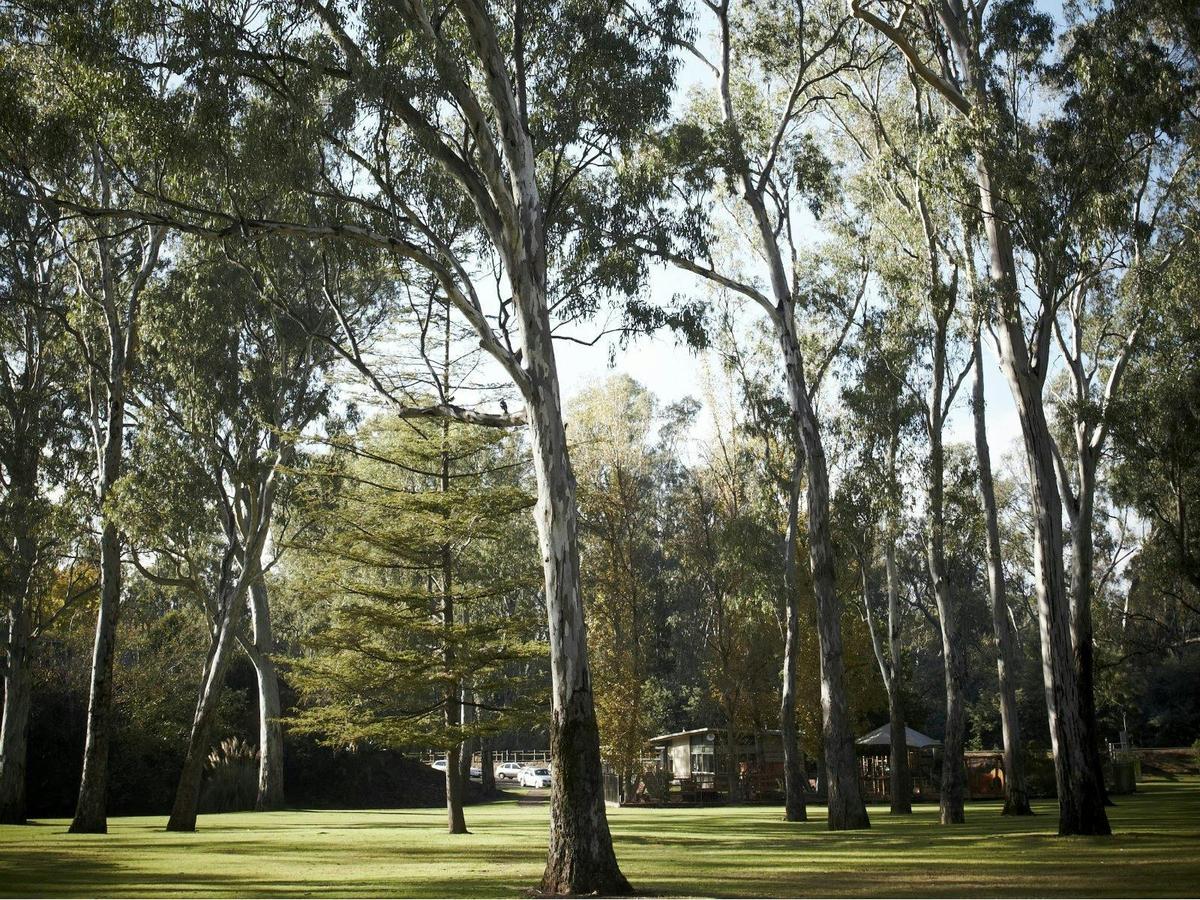 Merriwa Park