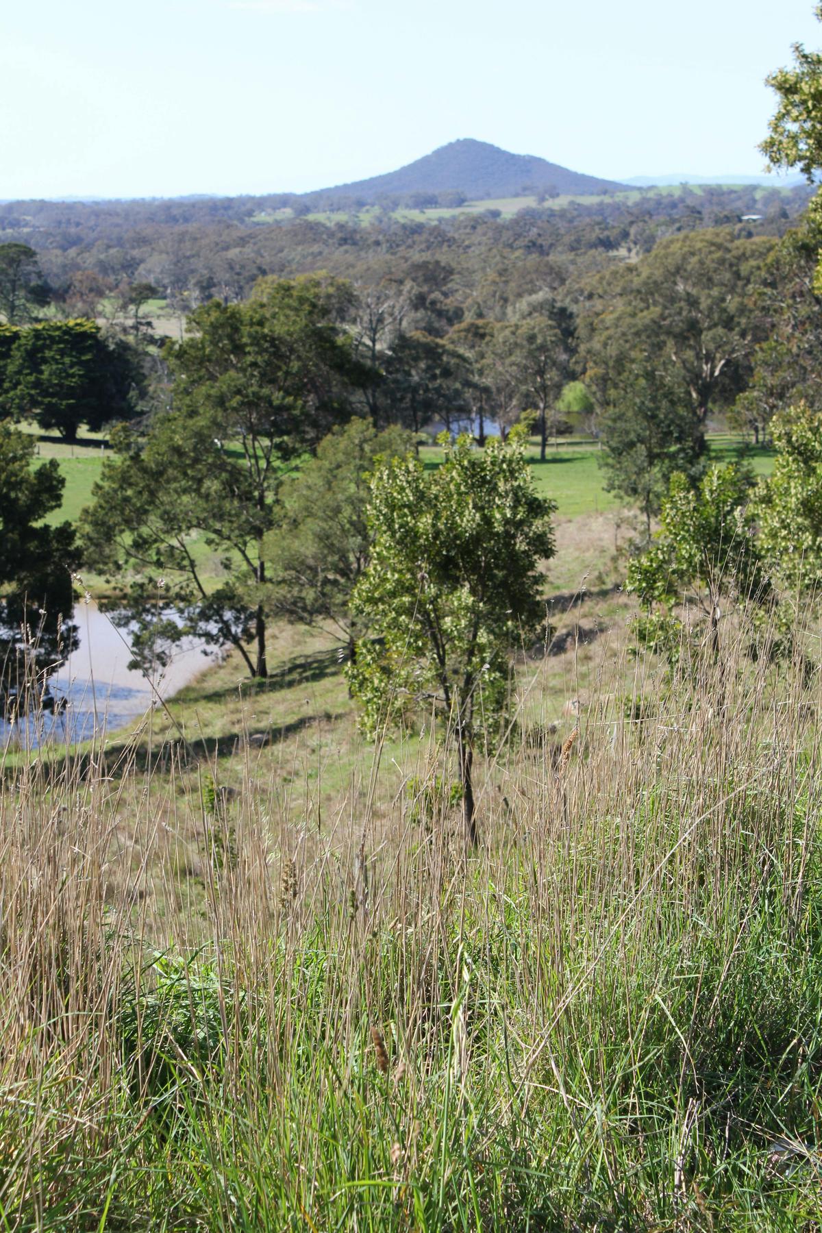 Mount Piper
