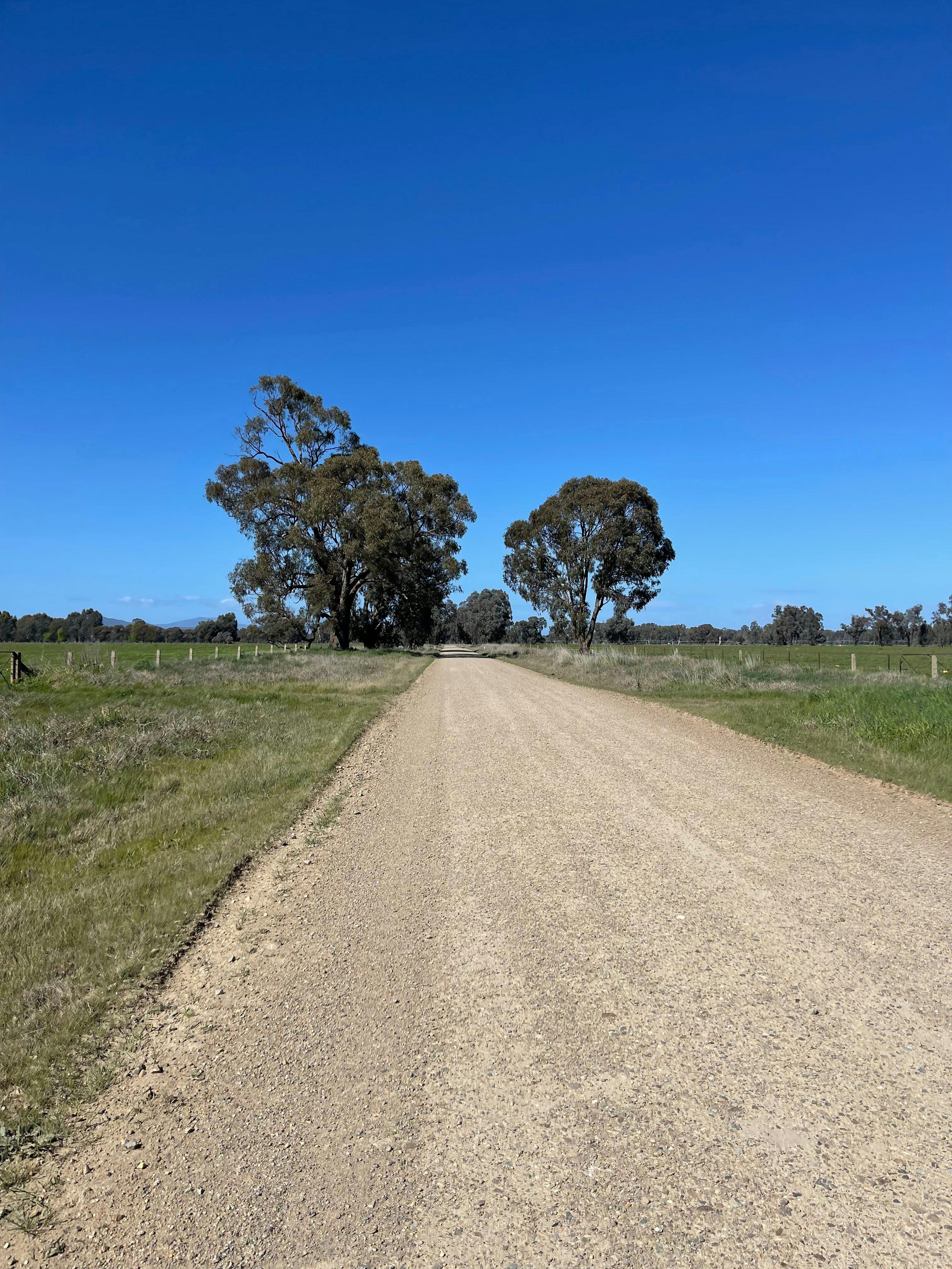 Gravel road going through farming land