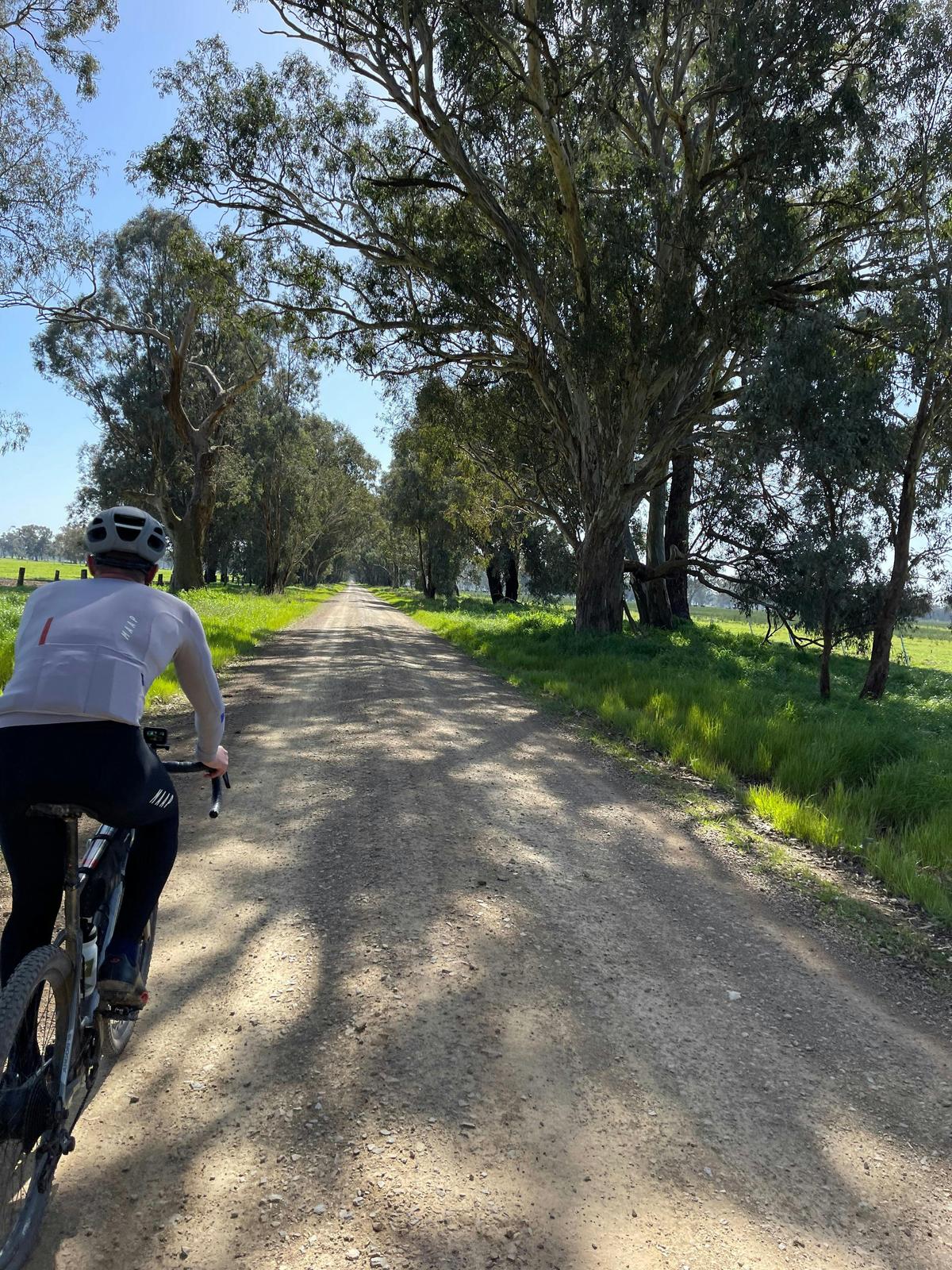 Cyclist on Gravel road large trees