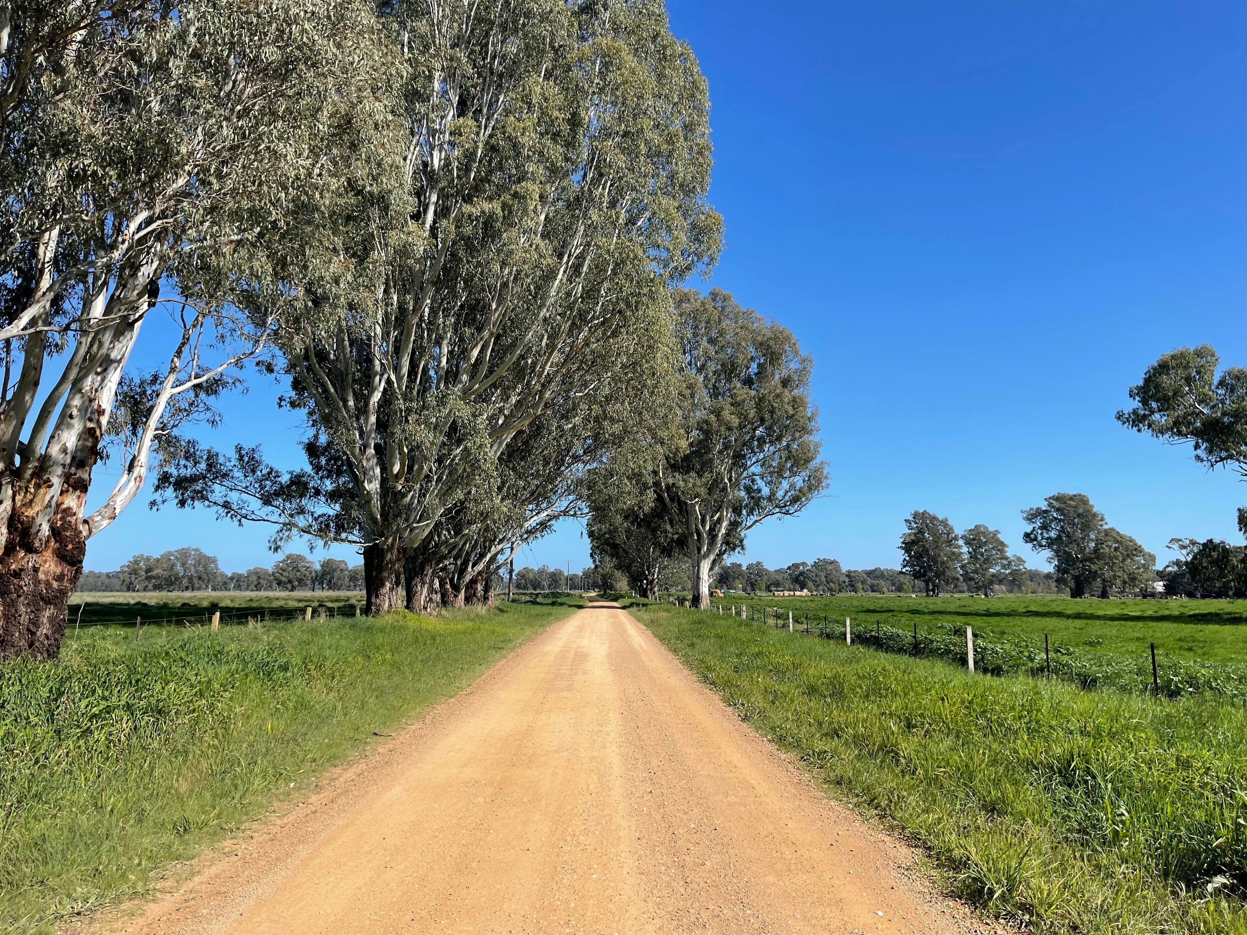 Gravel road going through farming country