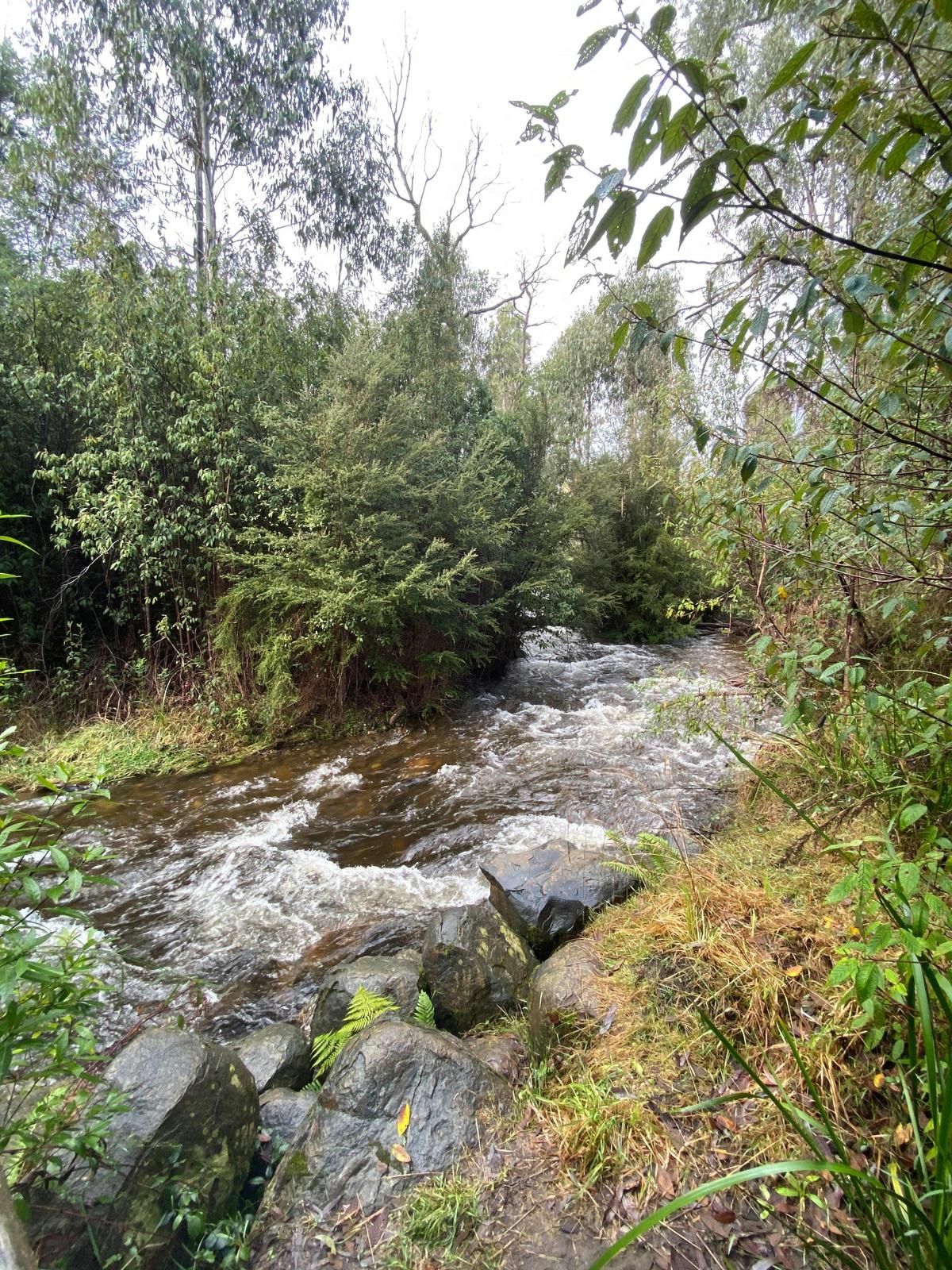Michaeldene Trail