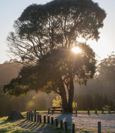 Mt Dandenong Circuit