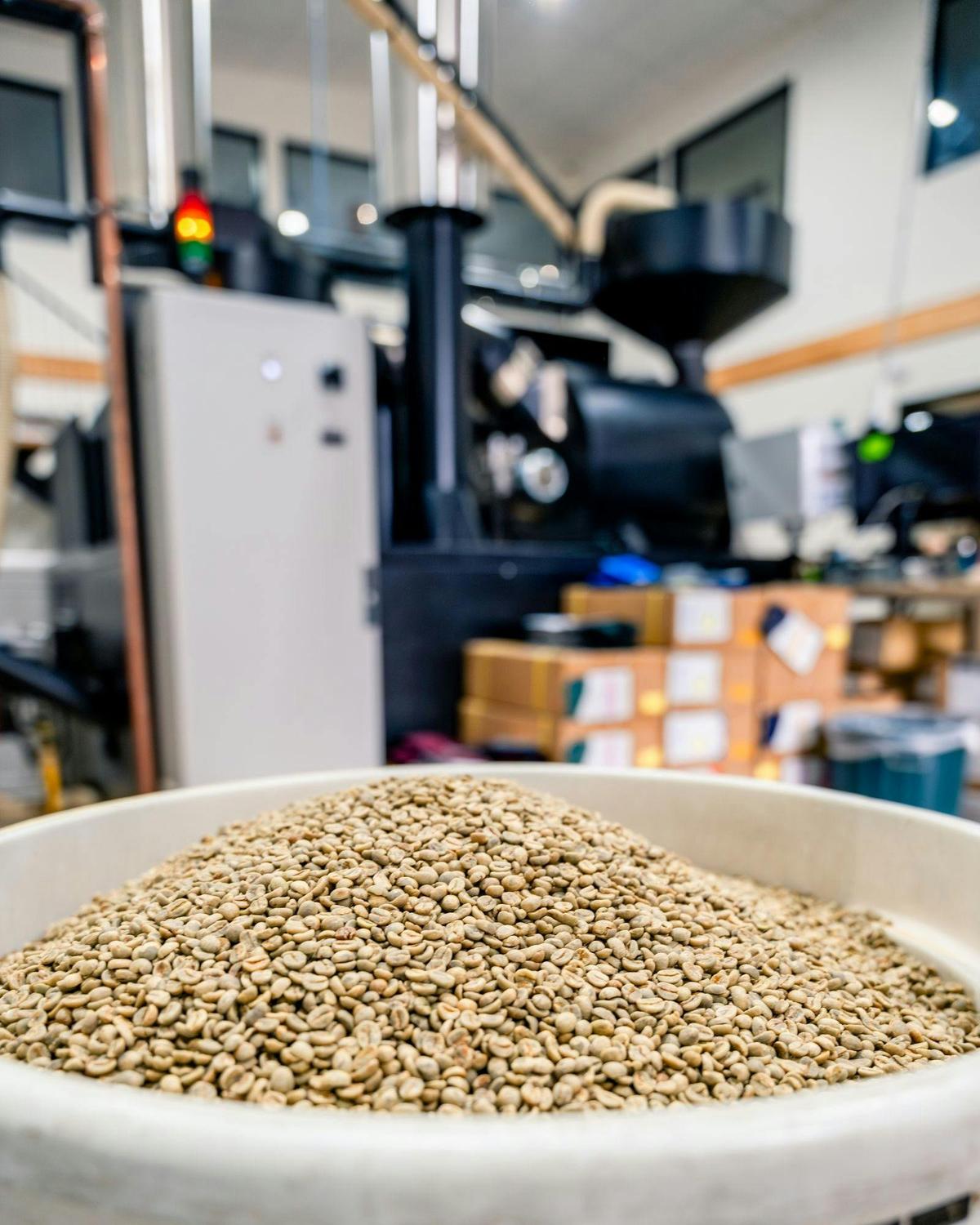 Green coffee beans ready to be roasted