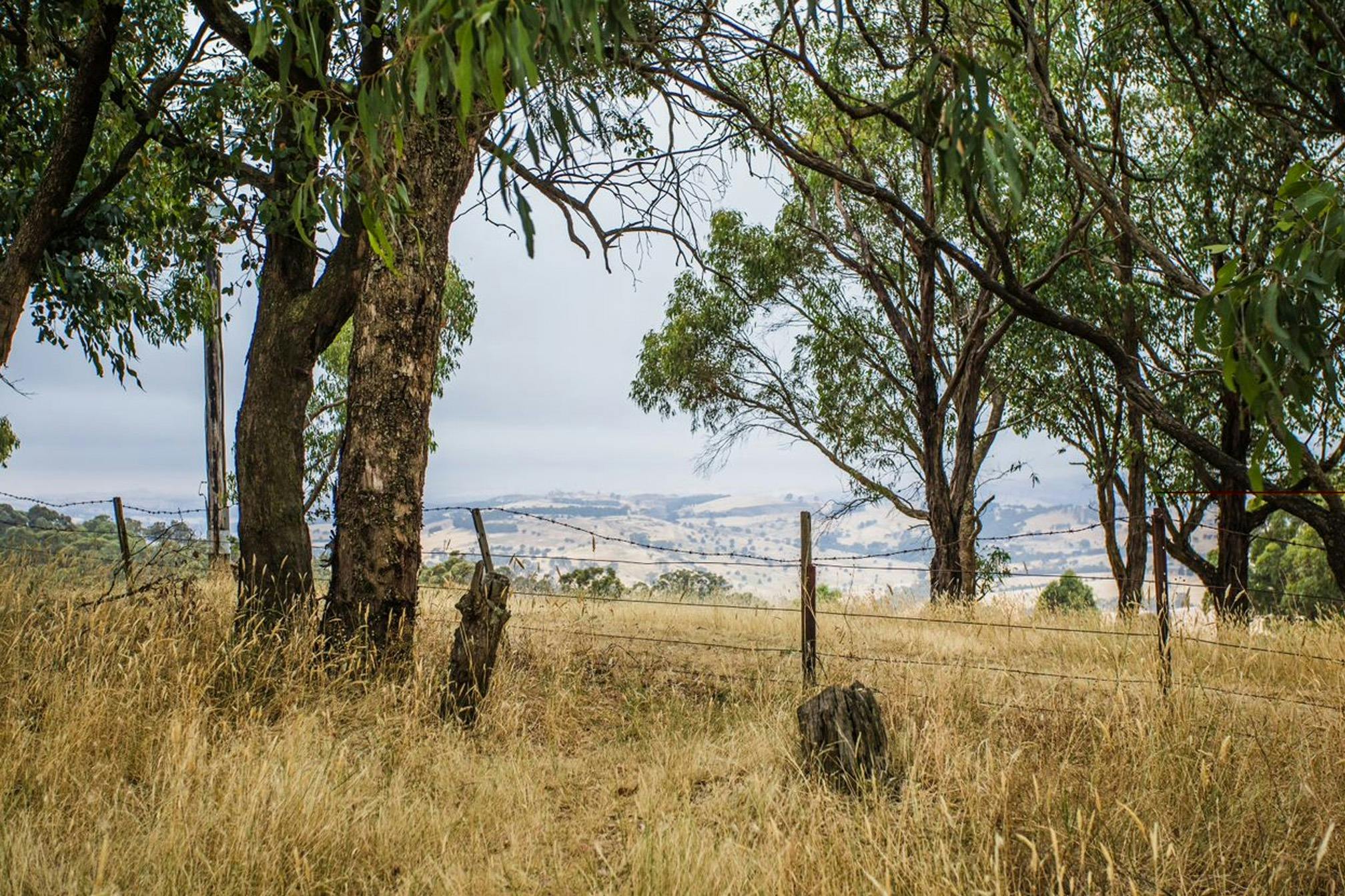 View from Monument Hill