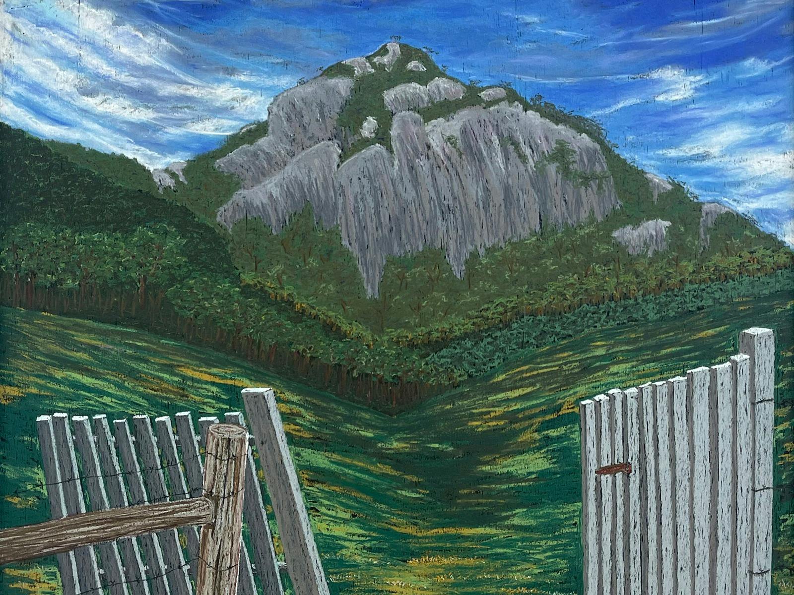 Tim Moorhead at The Peisley St Gallery, Orange