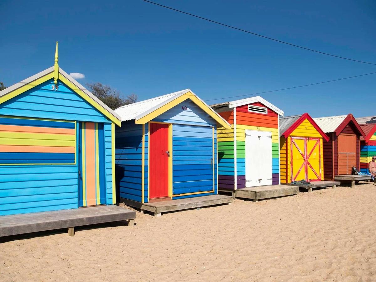 Snorkel with Seals & Sea Dragons - Melbourne Day Tour