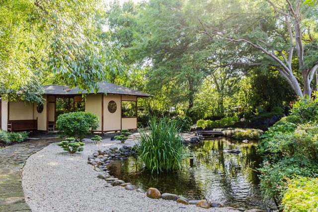 Japanese Gardens at Campbelltown Arts Centre