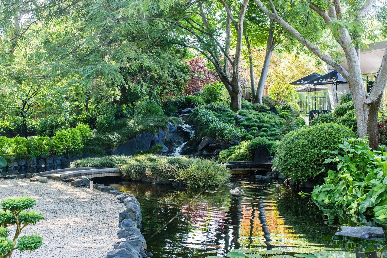 Japanese Gardens Pond