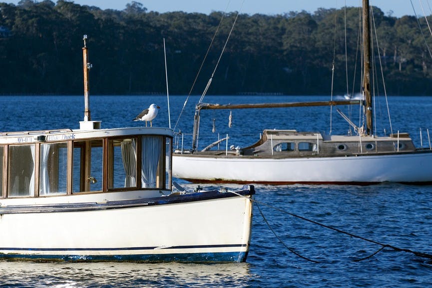 Boats moored at Metung