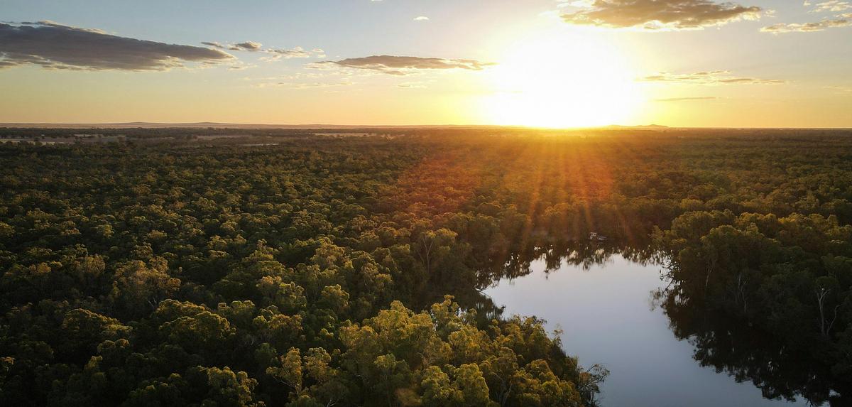 drone image of the murray river at sunset