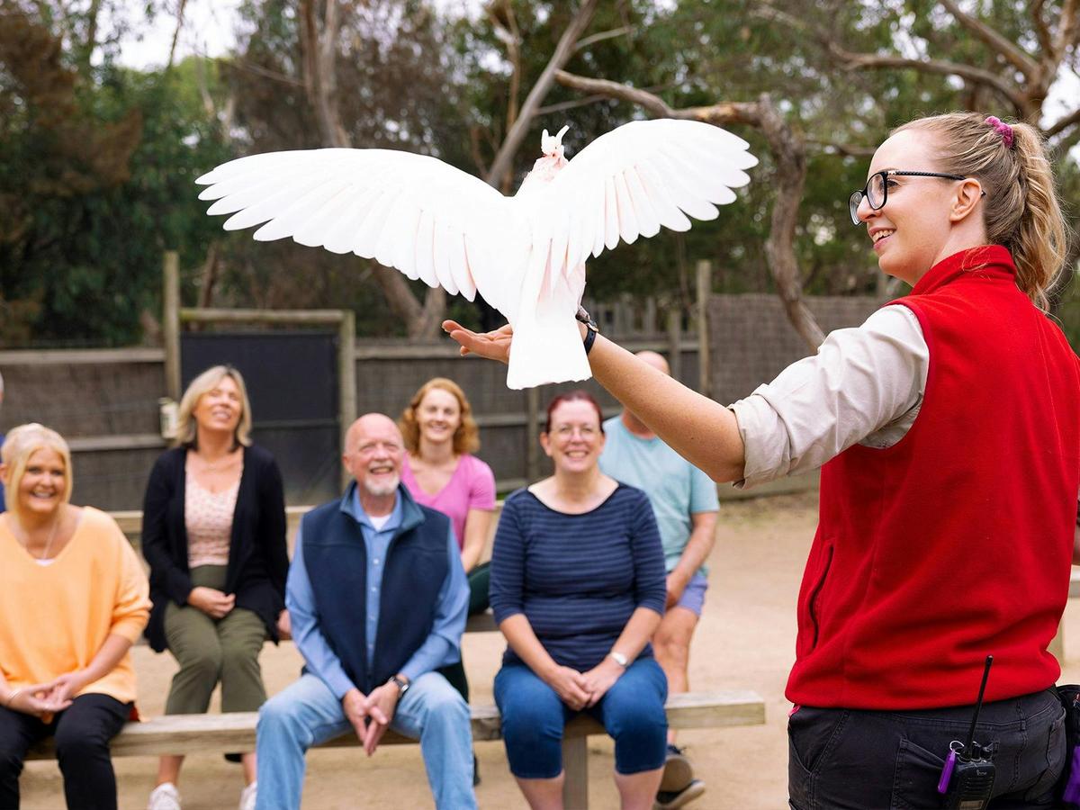 Conservation in Action Show