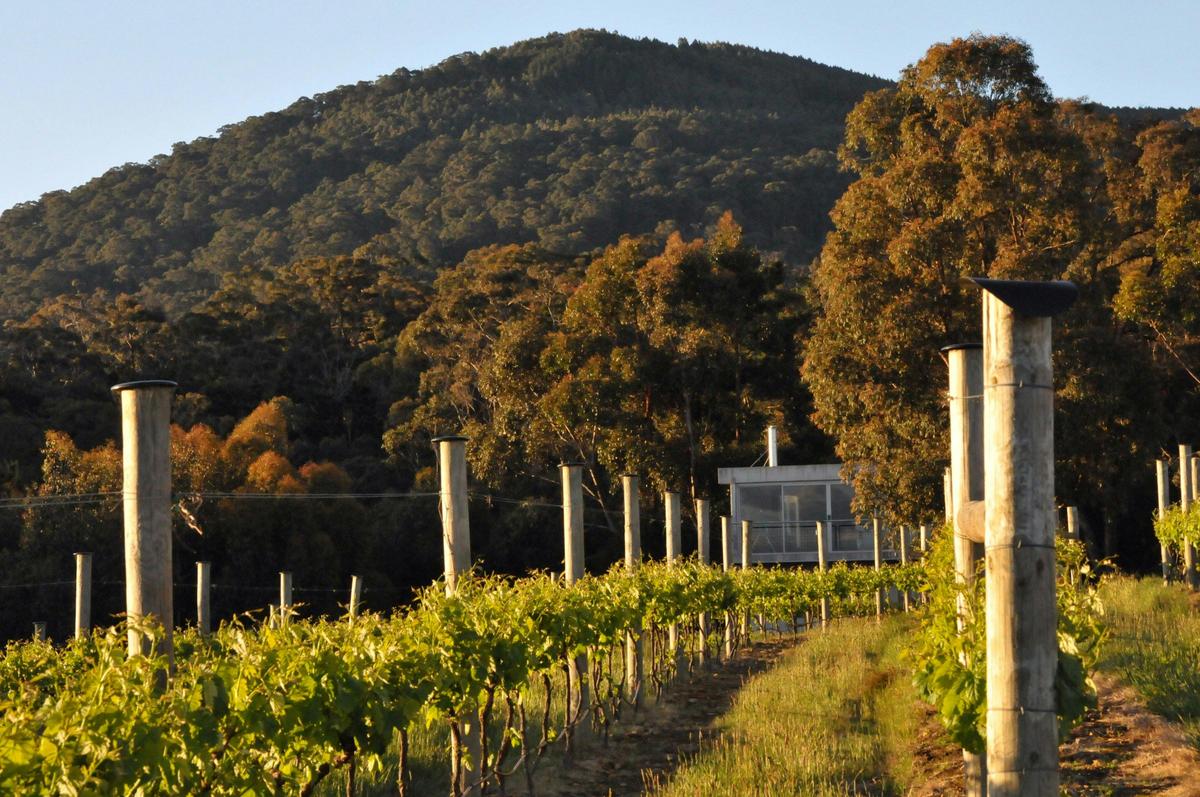 Mount Towrong Vineyard Cellar Door