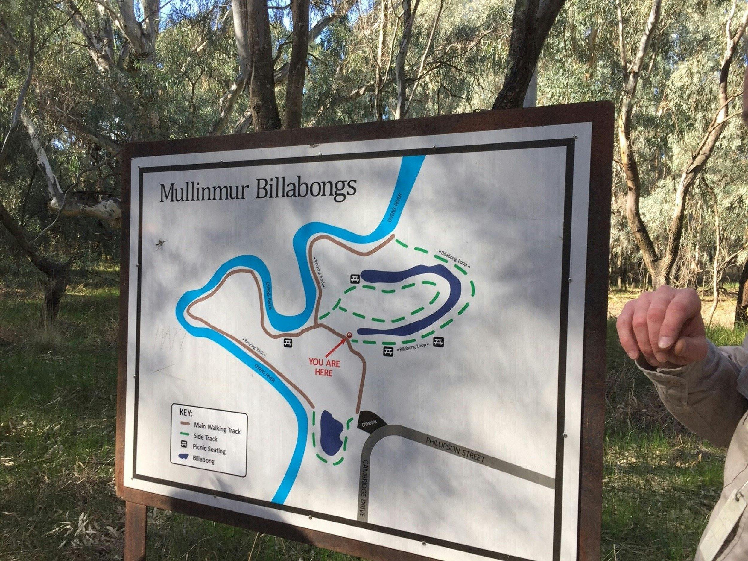 Billabongs Sign