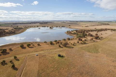Tiny Justyn at Mooramong Estate