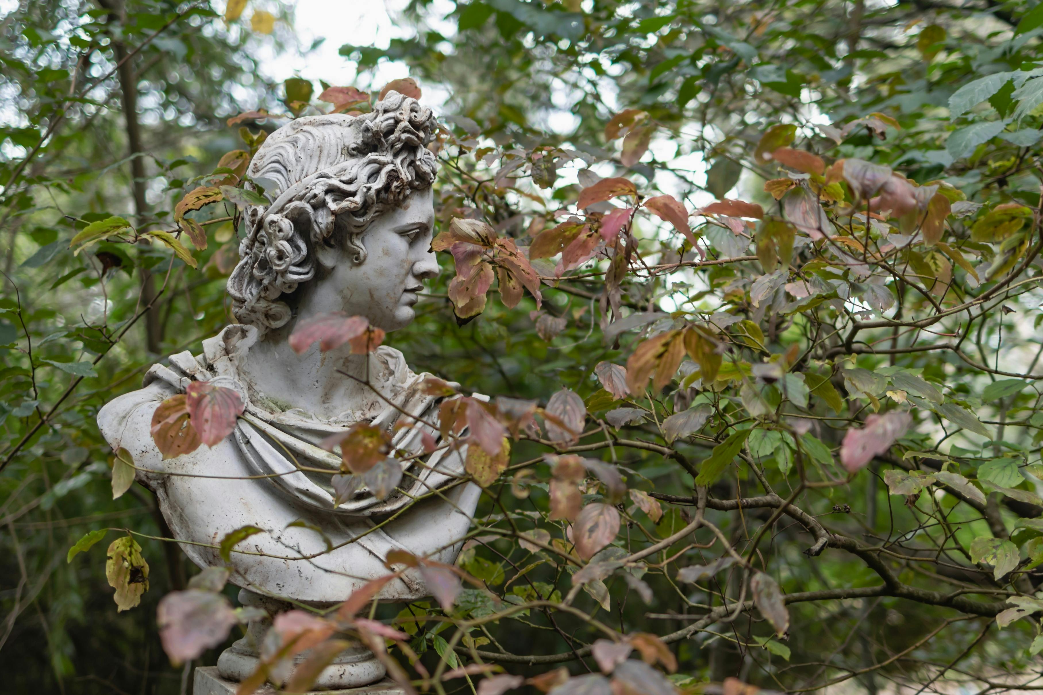 The Gardens At Mirador Springs Retreat