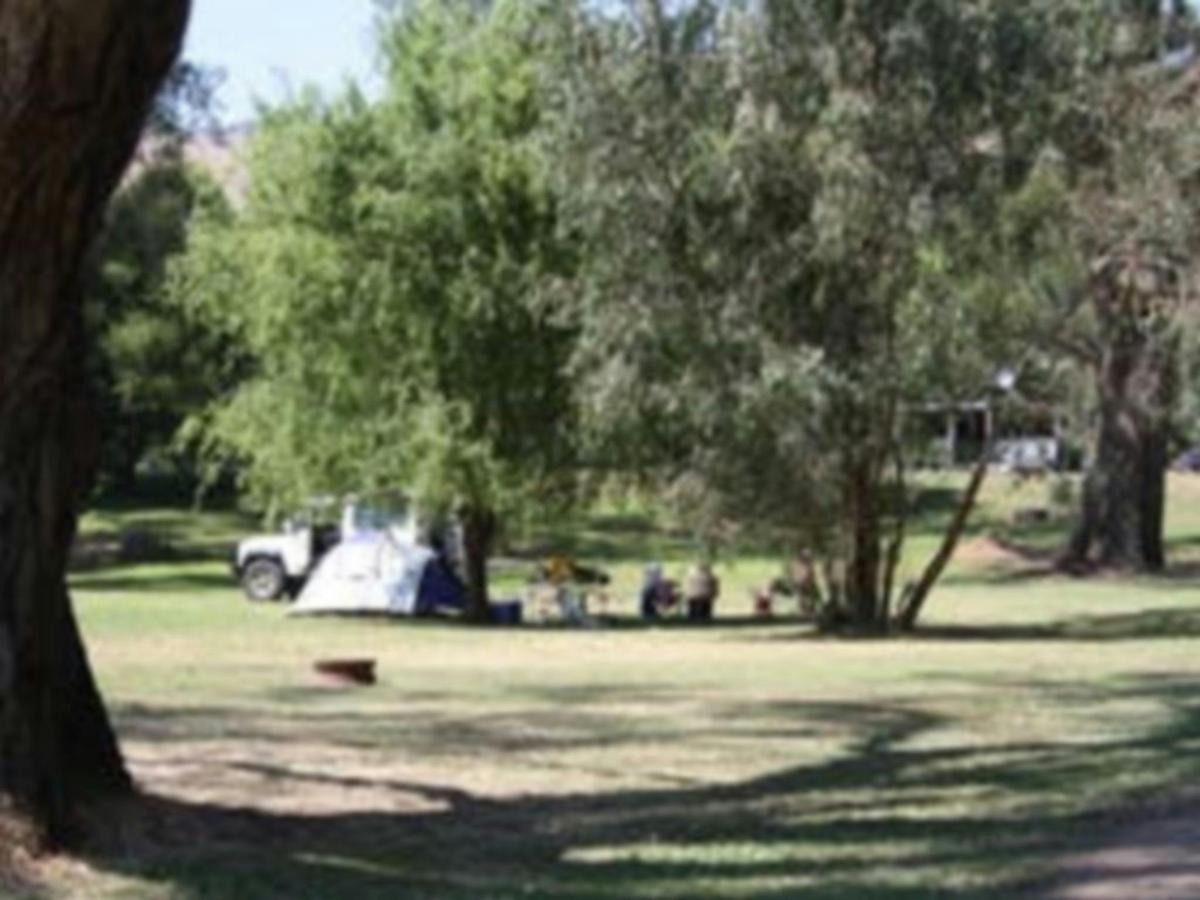 Camping at its finest