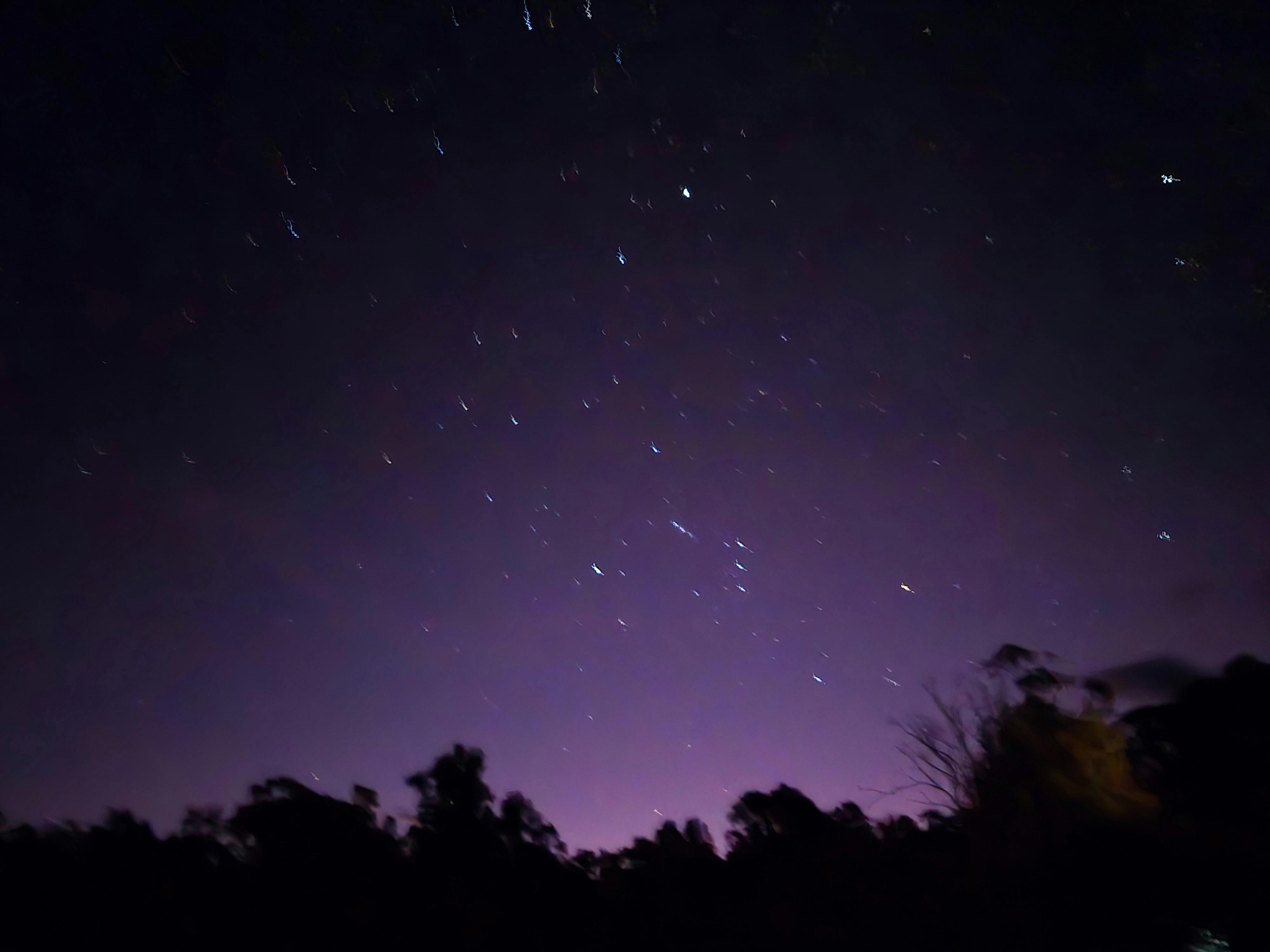 deep purple skies with lots of stars