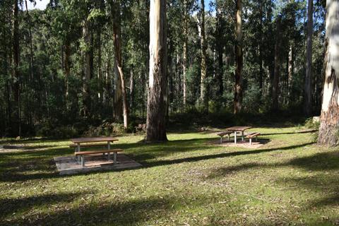 Murrindindi Scenic Reserve Camping
