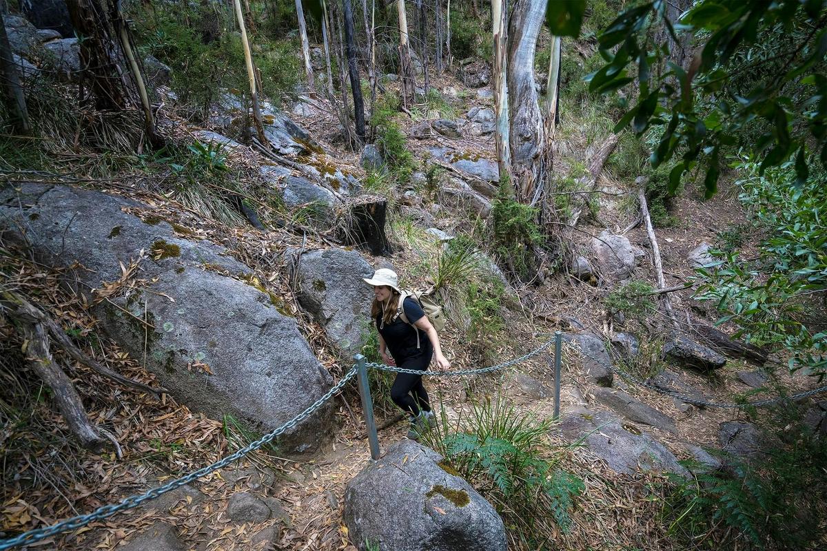 There are multiple walks in the reserve