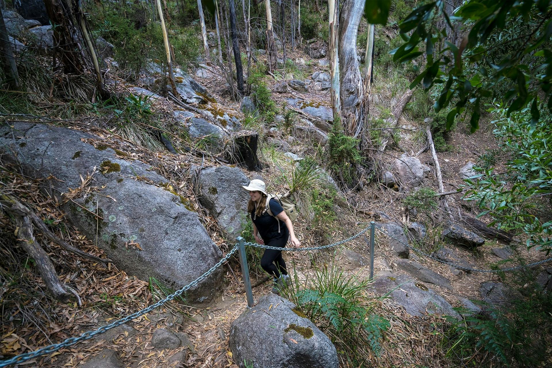 There are multiple walks in the reserve