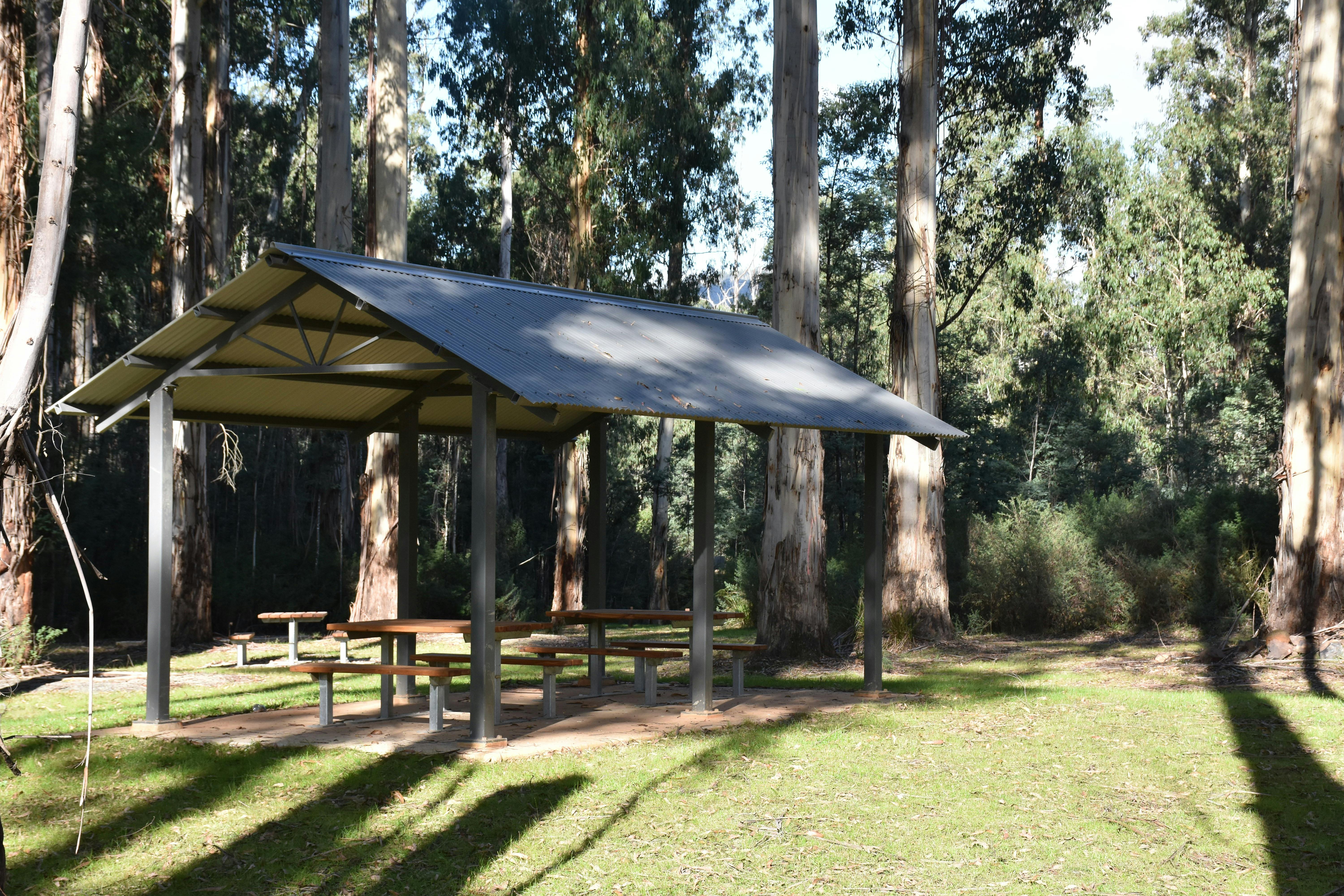 Picnic shelter at Bull Creek campground within Murrindindi Scenic Reserve