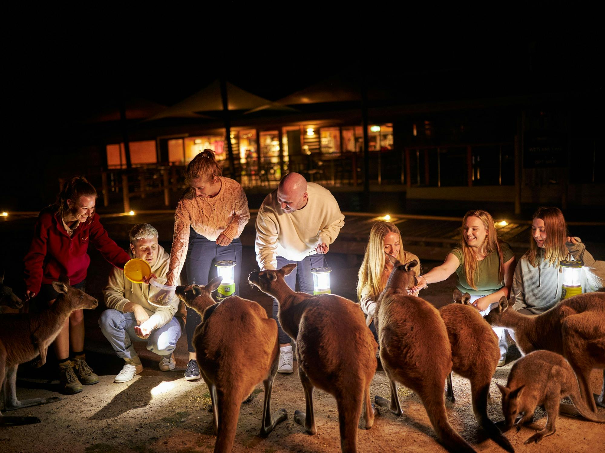 Hand-feeding the kangaroos at Moonlit Sanctuary
