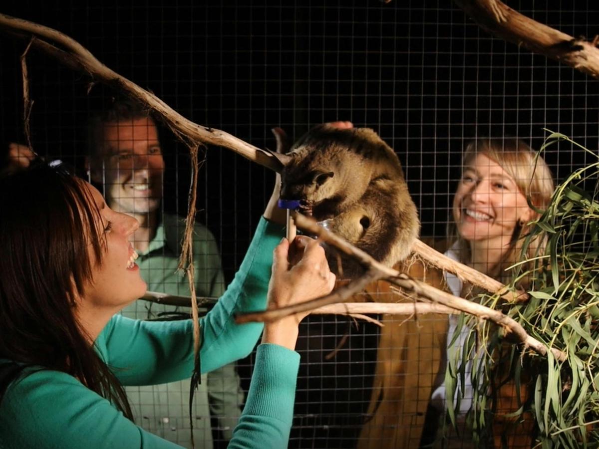 Feed gliders inside their enclosure