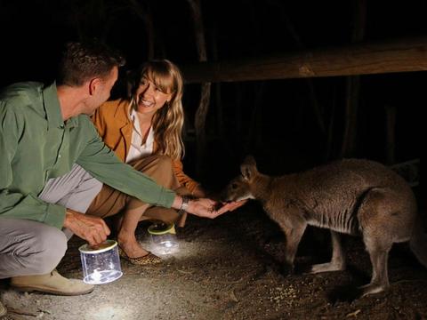 Get close up to many animals