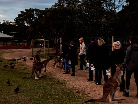 Small groups with a friendly guide