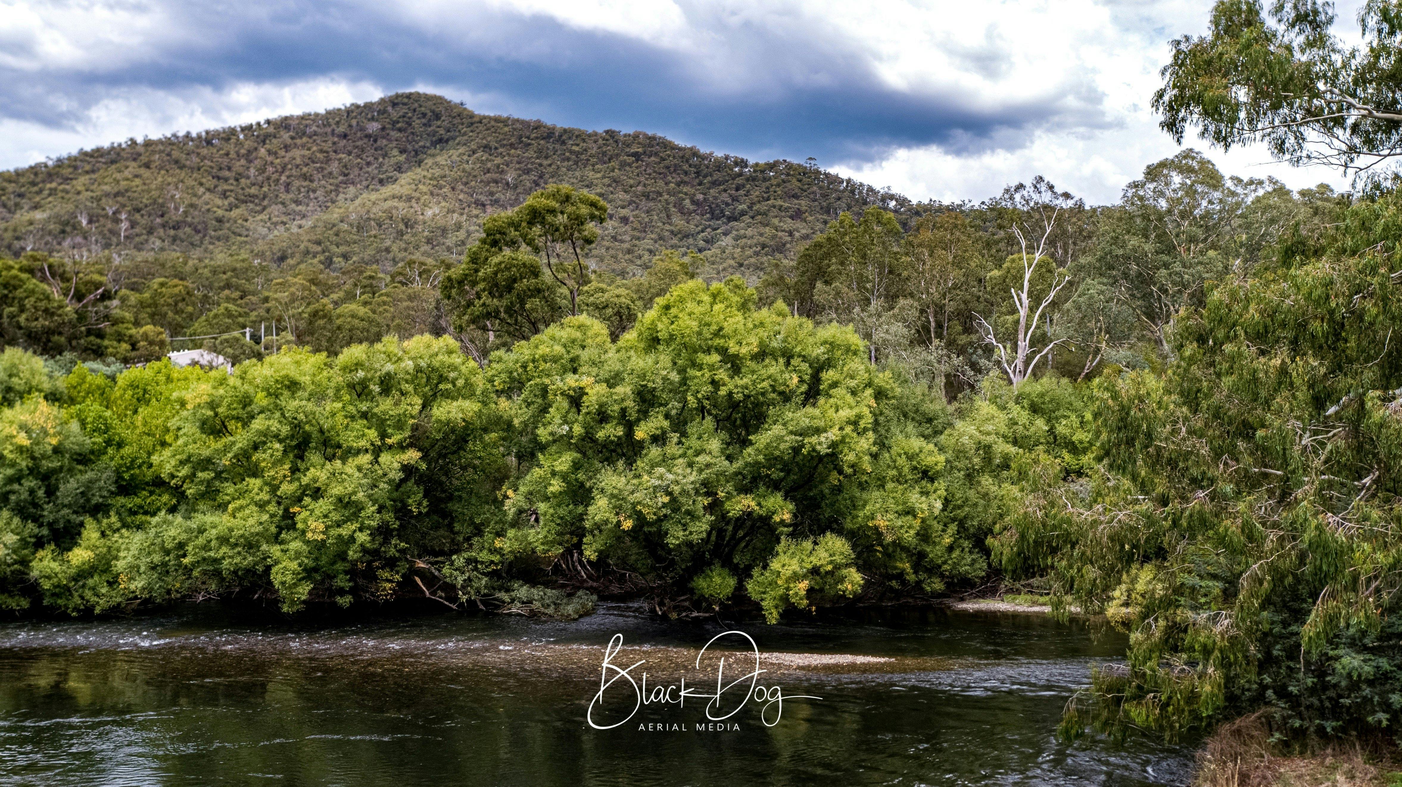 The Junction - where the Snowy Creek meets the Mitta Mitta River