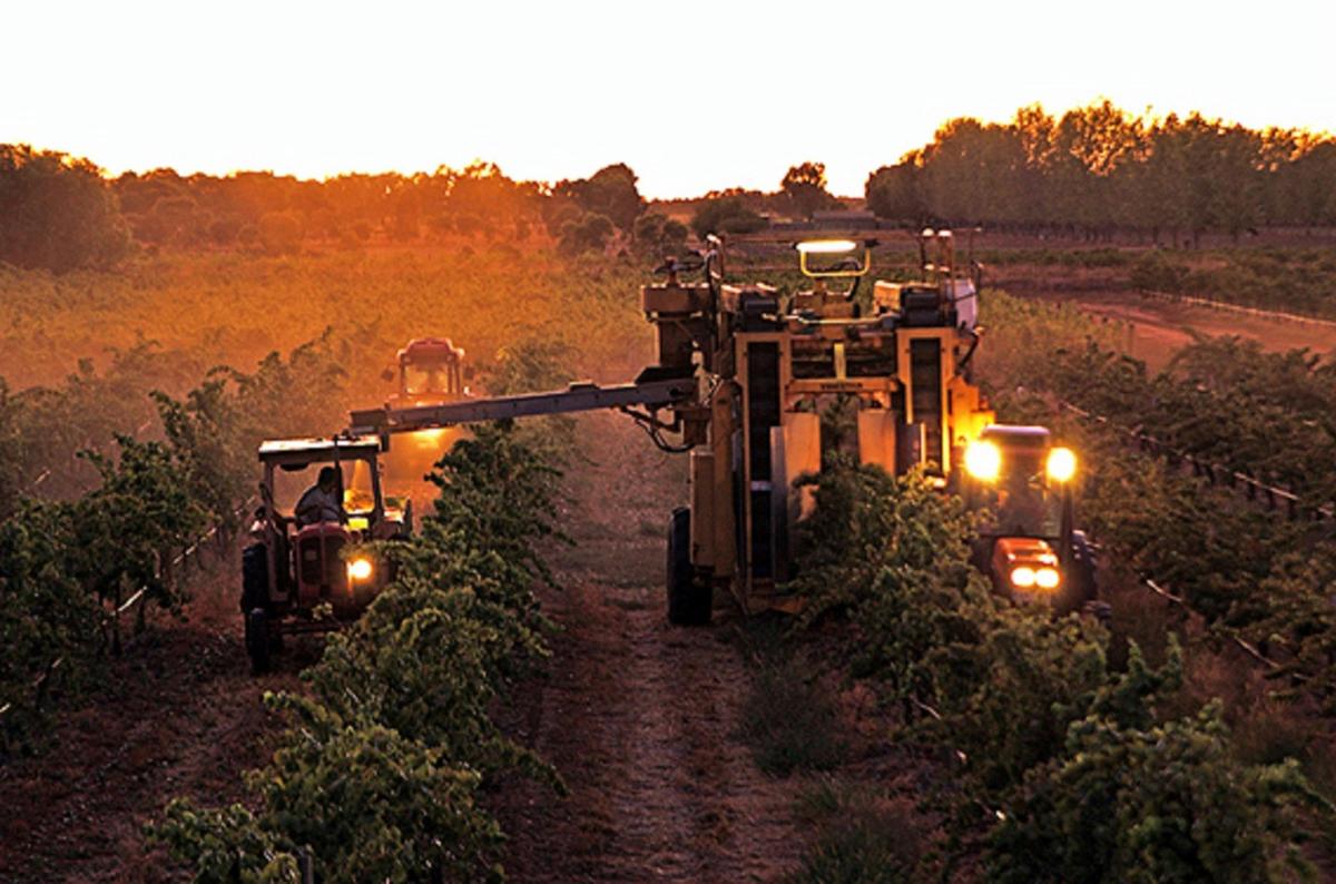 Harvest time