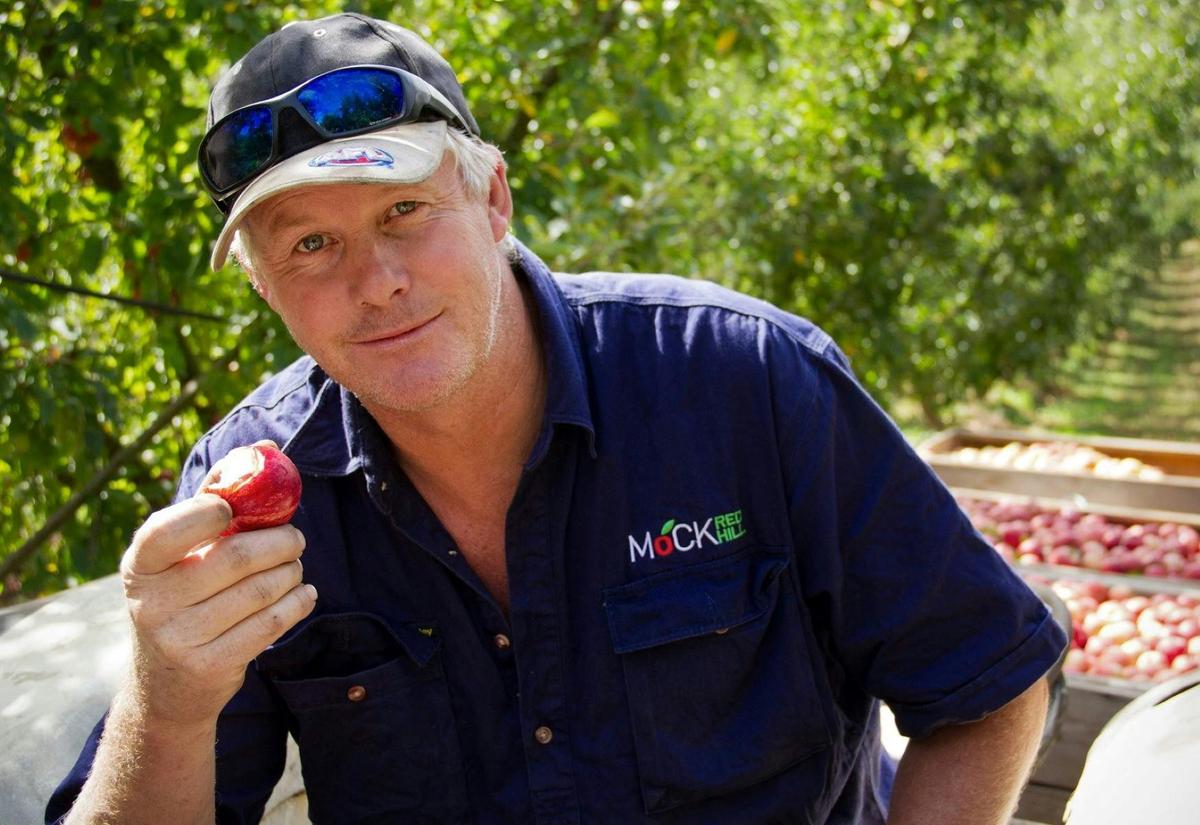 Eating an apple