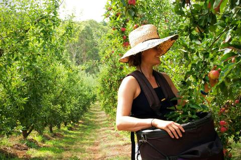 Mock Red Hill