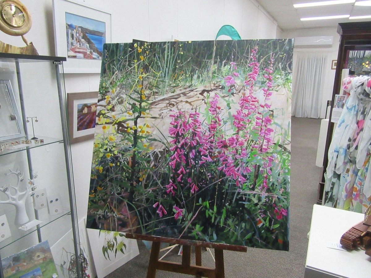 Lovely paintings by local artists at the HIRL Gallery